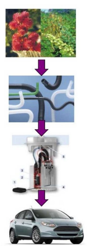 Bio-based polyamide derived from castor oil in automotive fuel pipes