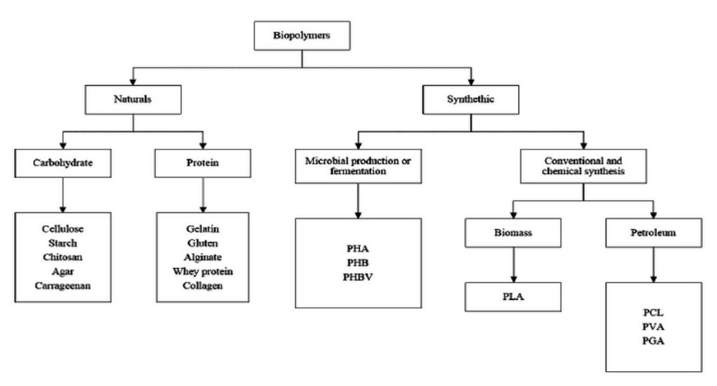 Classification of biopolymers