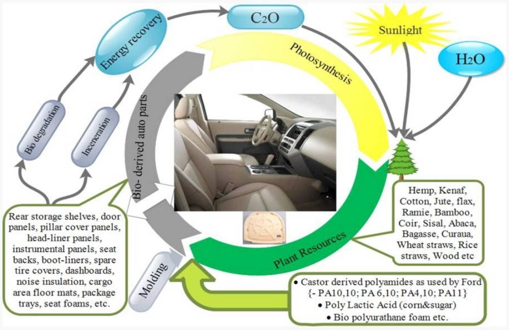 The use of biopolymers in car body